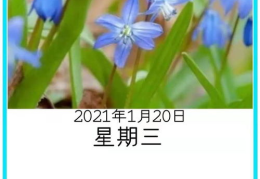 早安打一字谜,揭秘“早安”背后的文字奥秘