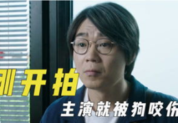 娱乐吃瓜y君,揭秘娱乐圈幕后故事
