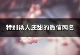 微信网名大全,创意无限，个性鲜明，潮流风向标