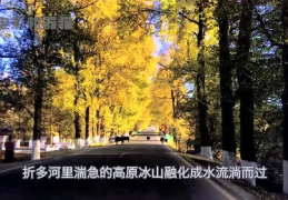 娱乐吃瓜君5,揭秘娱乐圈最新热点，带你领略明星幕后故事