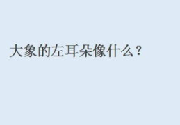 儿童脑筋急转弯7一9岁,7-9岁儿童脑筋急转弯精选
