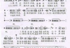 小姐姐大声说我爱你歌词,小姐姐的深情告白
